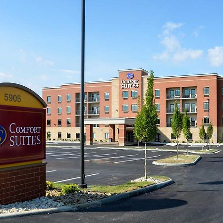 Comfort Suites Florence - Cincinnati South Zewnętrze zdjęcie
